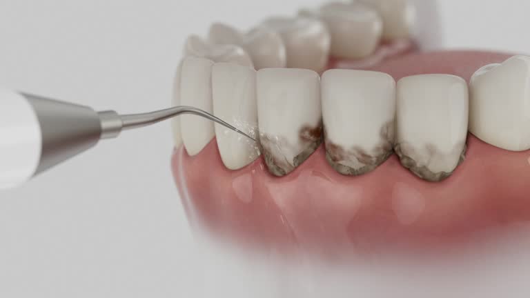Reliable Dental contractor in Richmond, IL by Dentist Open Now